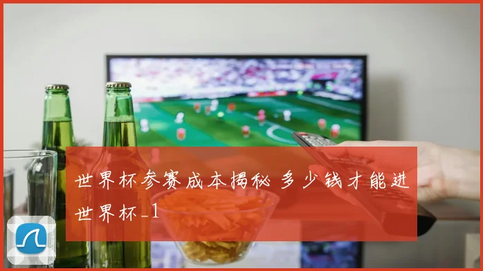世界杯参赛成本揭秘 多少钱才能进世界杯_1