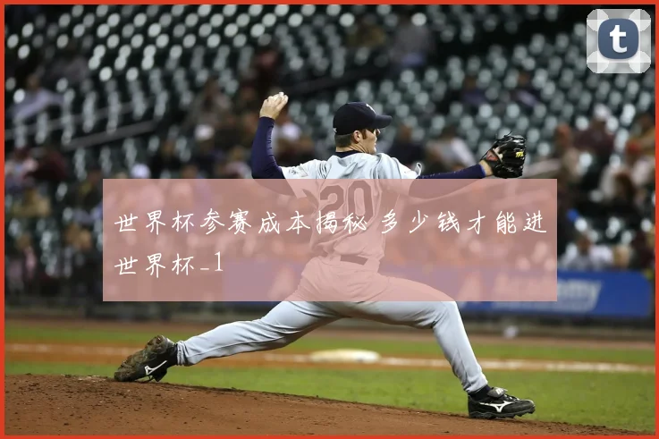 世界杯参赛成本揭秘 多少钱才能进世界杯_1