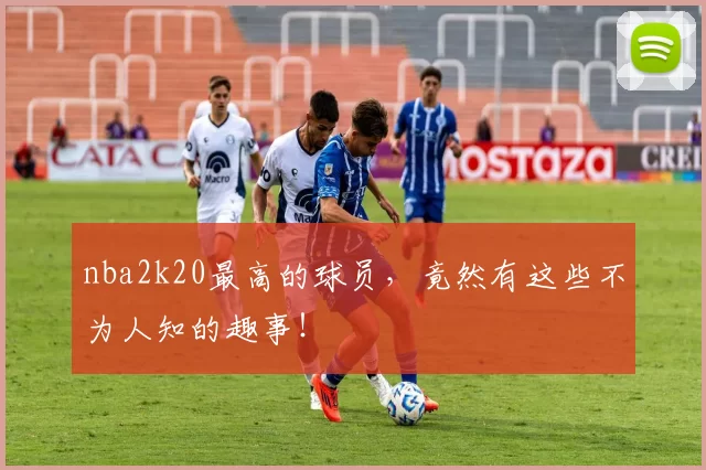 nba2k20最高的球员,竟然有这些不为人知的趣事!