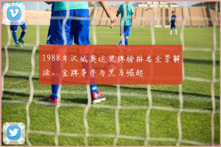 1988年汉城奥运奖牌榜排名全景解读，金牌争夺与黑马崛起