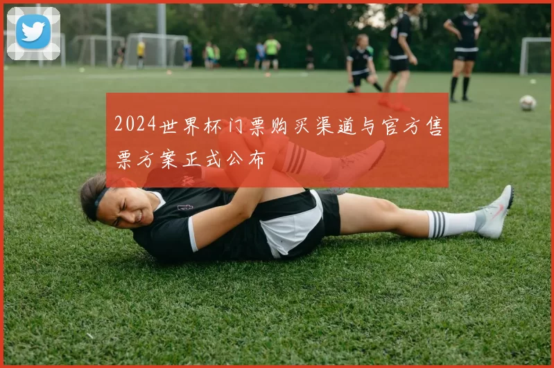 2024世界杯门票购买渠道与官方售票方案正式公布